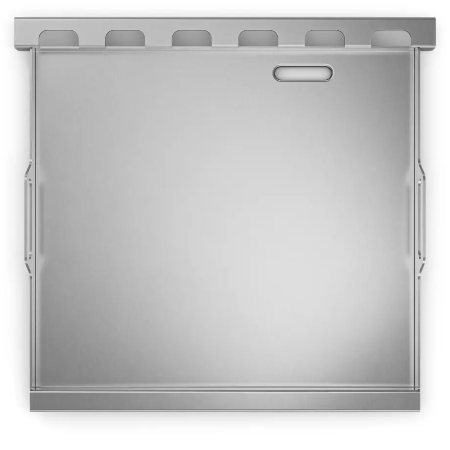 Camera_plancha_GORA_Image