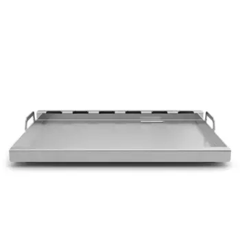 Camera_plancha_front_Image